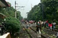 Pohon Tumbang Tutup...