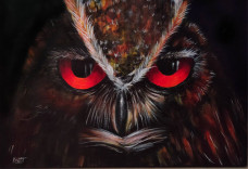 Renungan: Kisah Burung...