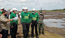 Food Estate Kalteng...