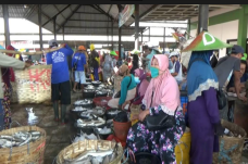 Panen Raya: Harga Ikan...