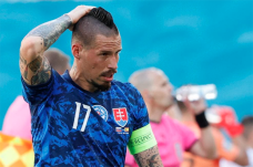 Dicukur Spanyol, Hamsik...