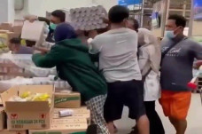 Anomali Susu Beruang...