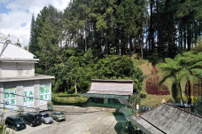 Pandemi COVID-19 Bikin...