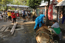 Naik Sepeda, Gubernur...