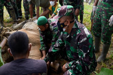 Danpuslatpur: Jadikan...