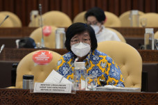 Menteri Siti Pastikan...