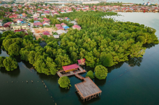 Berdayakan Mangrove...