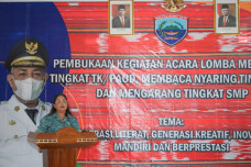 Dinas Perpustakaan dan...
