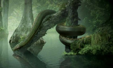 Kerabat Titanoboa, Ahli...