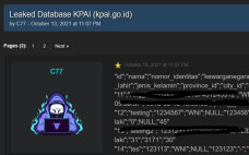 Database Pengaduan KPAI...