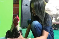 Cantik Bak Aura Kasih,...