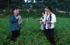 Kementan Tingkatkan...