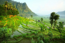 Ubud Jadi Kota Wisata...