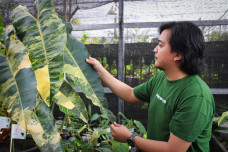 Jeli Melihat Peluang...