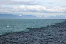Mengapa Laut Mediterania...