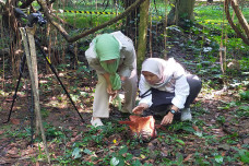 Sejarah! Bunga Rafflesia...