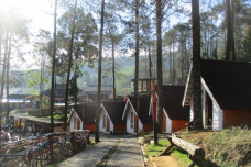 Pulang Kampung, Agrowisata...
