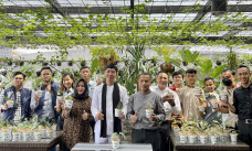Hotel di Bogor Usung...
