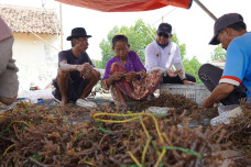 Dukung Petani Rumput...