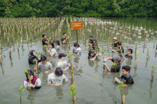 Dukung Penghijauan di...