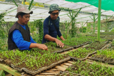 Mengenal Perintis Konsep...