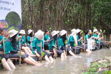 Hari Pohon Sedunia,...