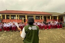 Program Green School...