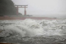 Ilmuwan Jepang Kembangkan...