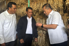Mentan Amran Ungkap...