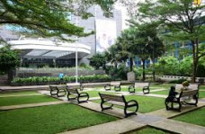 Mengenal Konsep Green...