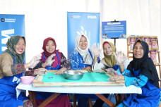 Dari Rengginang Laut,...