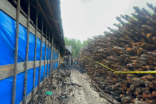 Polda Riau Ungkap Kasus...