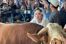 Dewi Perssik Rela Naik...