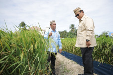 Tinjau Teknologi Tanam...