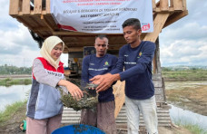 Program CID Pertamina...