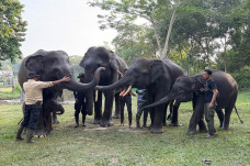 IUCN Lihat Menhut Paham...