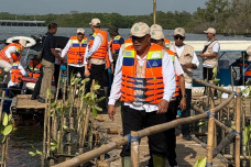 Hari Mangrove Sedunia,...