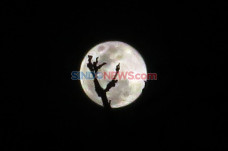 Melihat Fenomena Supermoon...