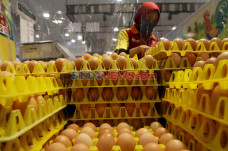 Harga Telur Ayam Turun...