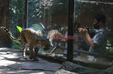 Wisata Jatim Park Dibuka...