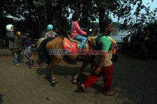 Kawasan Wisata Setu...