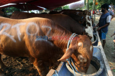 Terdampak Covid-19,...