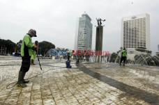 Dipenuhi Lumut, Dishut...