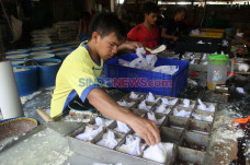 Dampak Covid-19, Produksi...