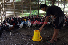 Selama Pandemi Covid-19,...