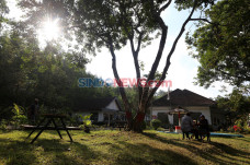 Villa Koffie Rayap,...