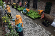 Warga Bambankerep Semarang...