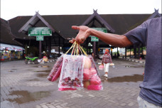 Terminal Daya Makassar...
