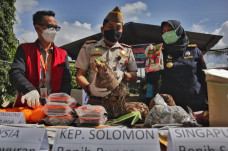 Balai Karantina Pertanian...