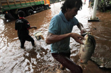 Warga Asik Menjala Ikan...